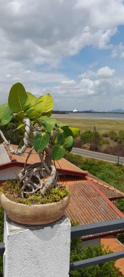 Lake Edge Resort Anuradhapura Bagian luar foto