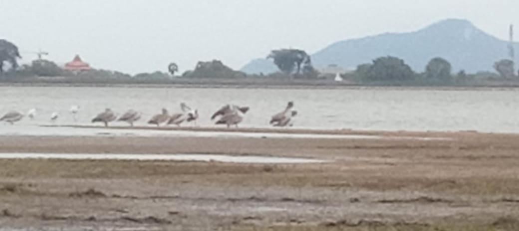 Lake Edge Resort Anuradhapura Bagian luar foto